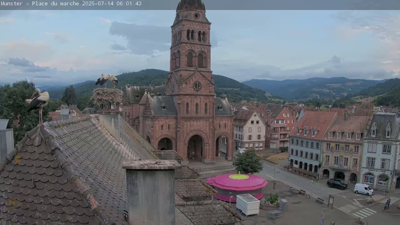 Munster,Place du Marché ( Market Square) & La Fontaine Lion Fountain / Église protestante (Protestant Church) Live Cam -  Colmar-Ribeauvillé, Haut-Rhin, Grand Est, France