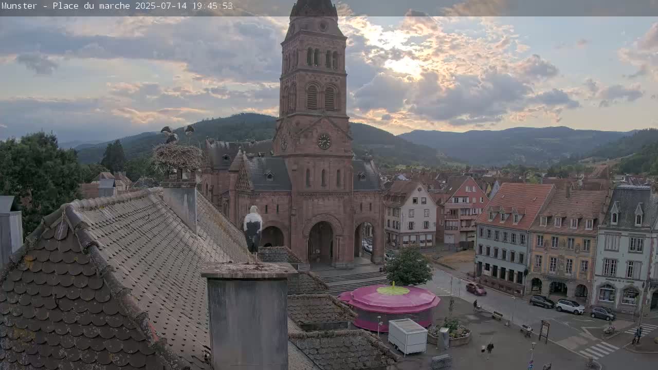 Munster,Place du Marché ( Market Square) & La Fontaine Lion Fountain / Église protestante (Protestant Church) Live Cam -  Colmar-Ribeauvillé, Haut-Rhin, Grand Est, France