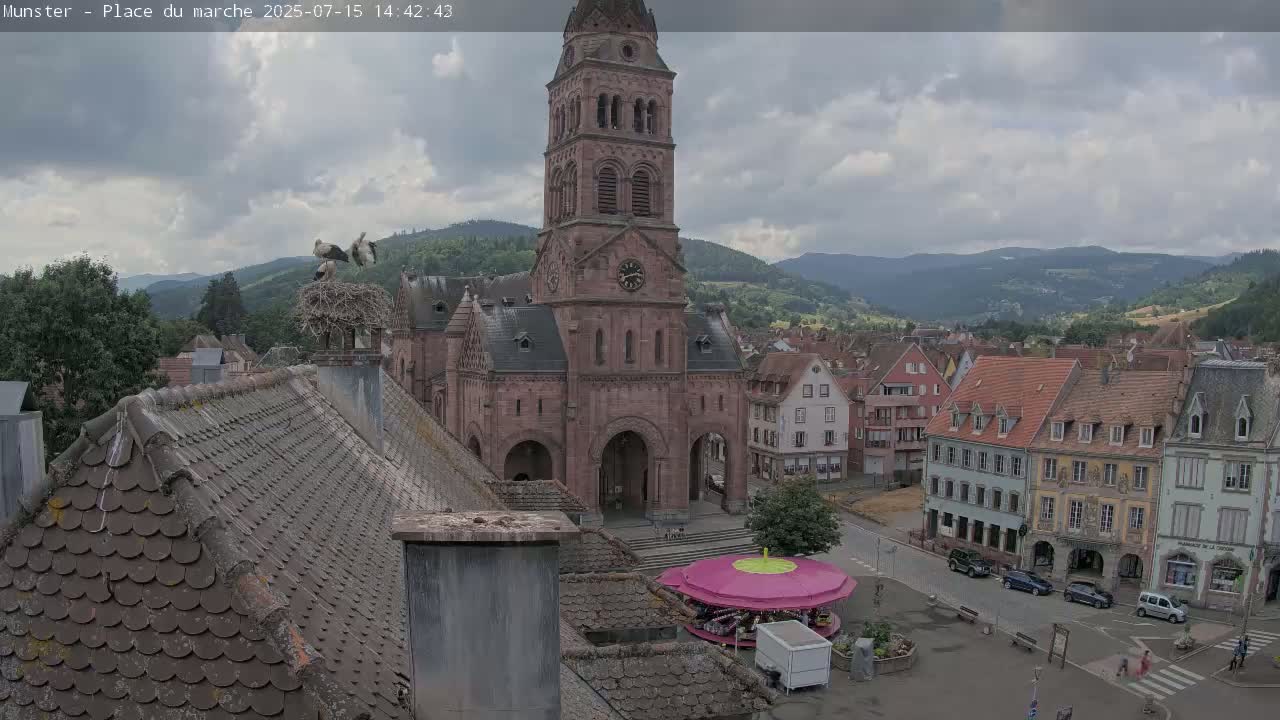 Munster,Place du Marché ( Market Square) & La Fontaine Lion Fountain / Église protestante (Protestant Church) Live Cam -  Colmar-Ribeauvillé, Haut-Rhin, Grand Est, France