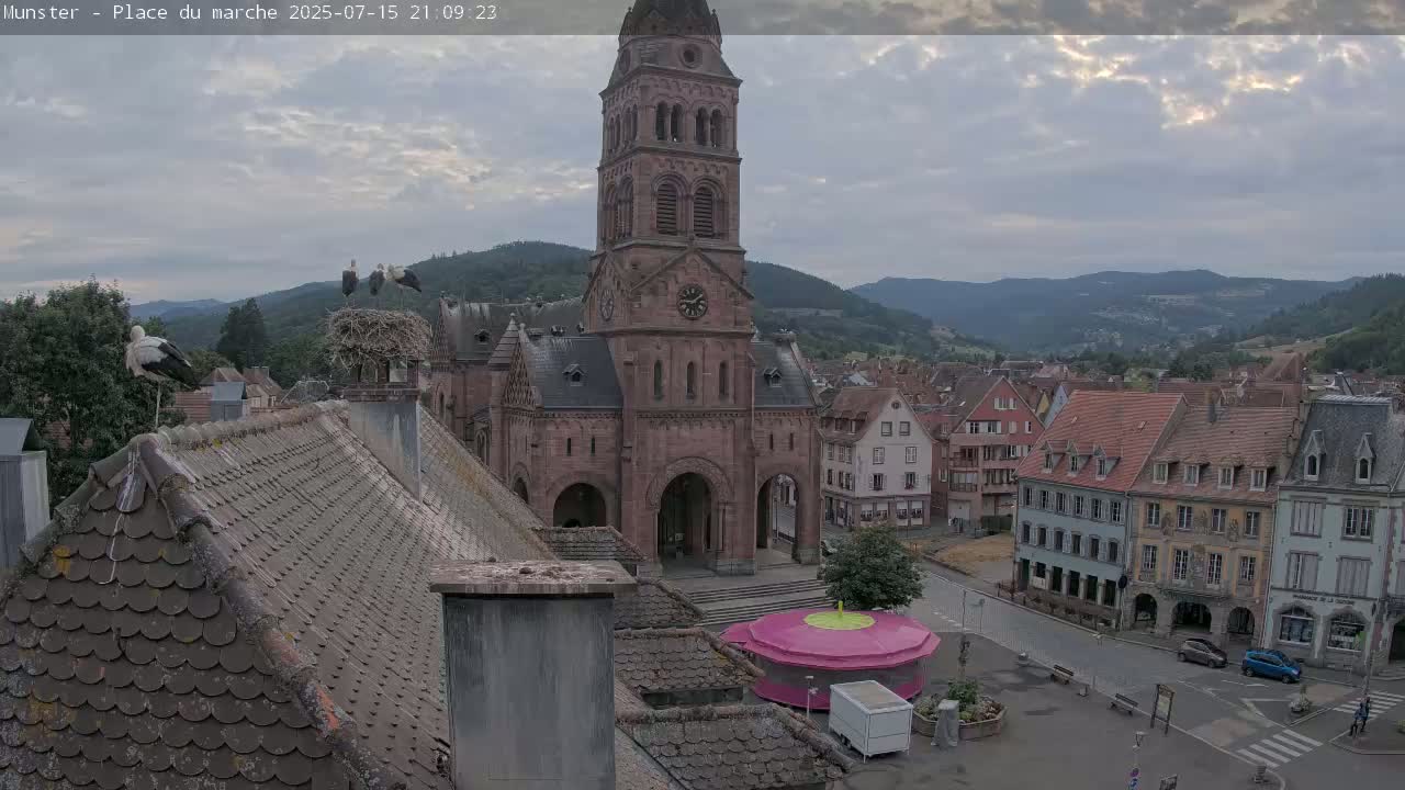 Munster,Place du Marché ( Market Square) & La Fontaine Lion Fountain / Église protestante (Protestant Church) Live Cam -  Colmar-Ribeauvillé, Haut-Rhin, Grand Est, France