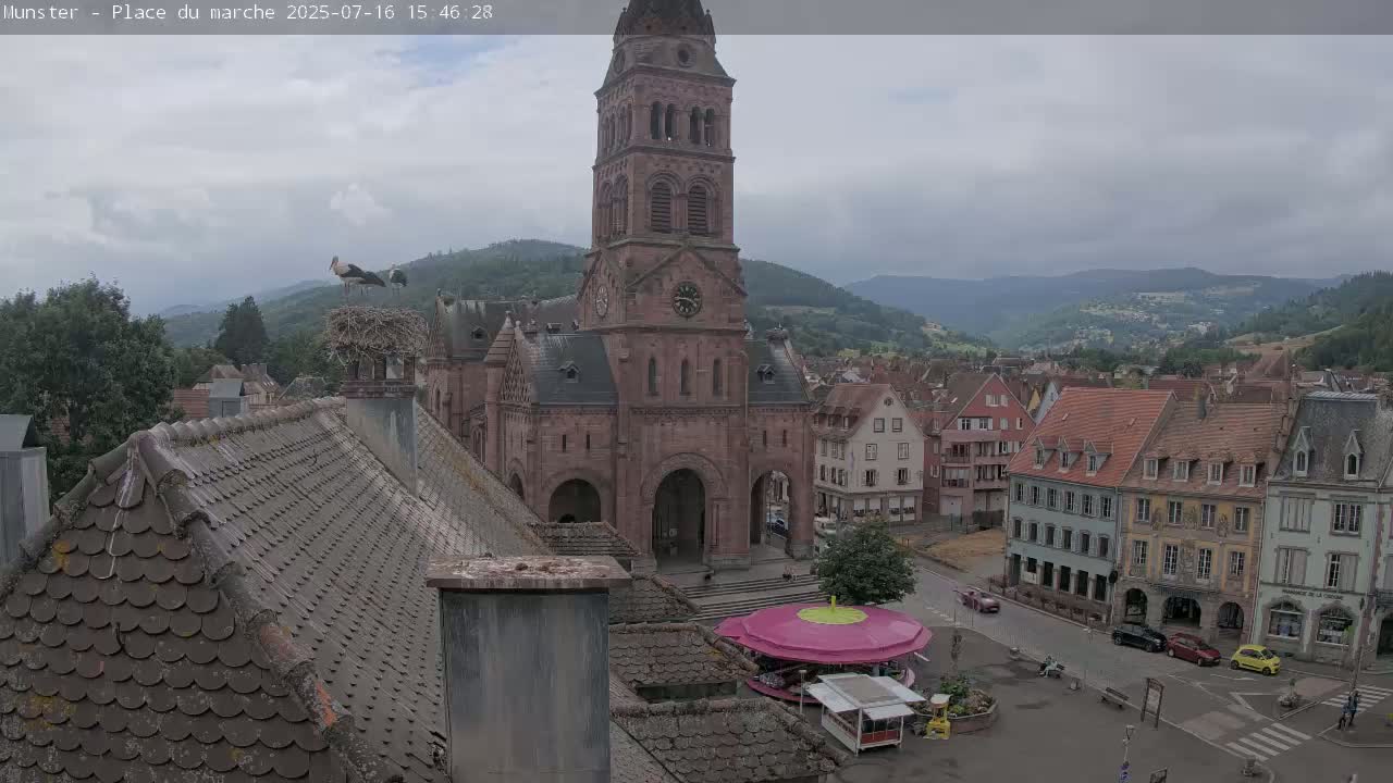 Munster,Place du Marché ( Market Square) & La Fontaine Lion Fountain / Église protestante (Protestant Church) Live Cam -  Colmar-Ribeauvillé, Haut-Rhin, Grand Est, France