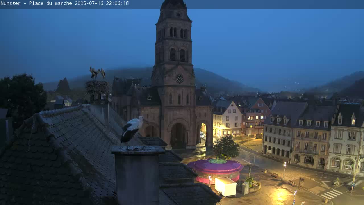 Munster,Place du Marché ( Market Square) & La Fontaine Lion Fountain / Église protestante (Protestant Church) Live Cam -  Colmar-Ribeauvillé, Haut-Rhin, Grand Est, France