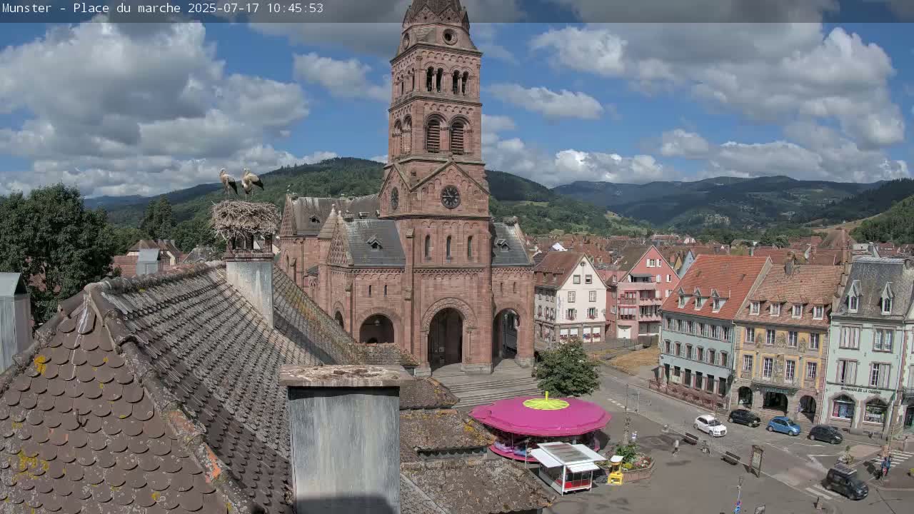 Munster,Place du Marché ( Market Square) & La Fontaine Lion Fountain / Église protestante (Protestant Church) Live Cam -  Colmar-Ribeauvillé, Haut-Rhin, Grand Est, France