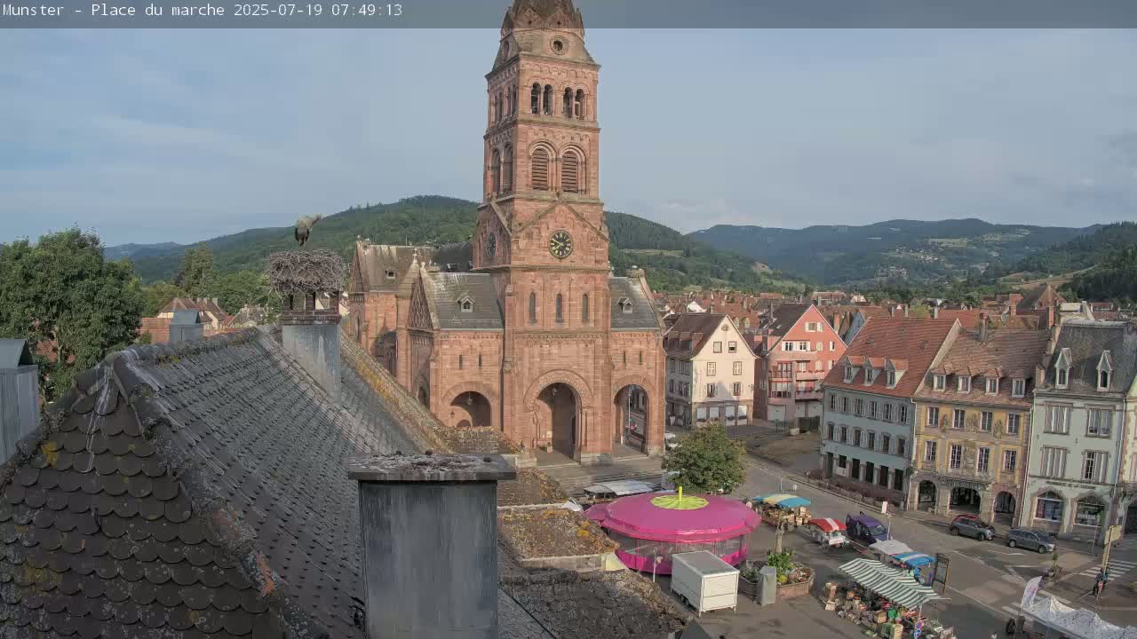 Munster,Place du Marché ( Market Square) & La Fontaine Lion Fountain / Église protestante (Protestant Church) Live Cam -  Colmar-Ribeauvillé, Haut-Rhin, Grand Est, France