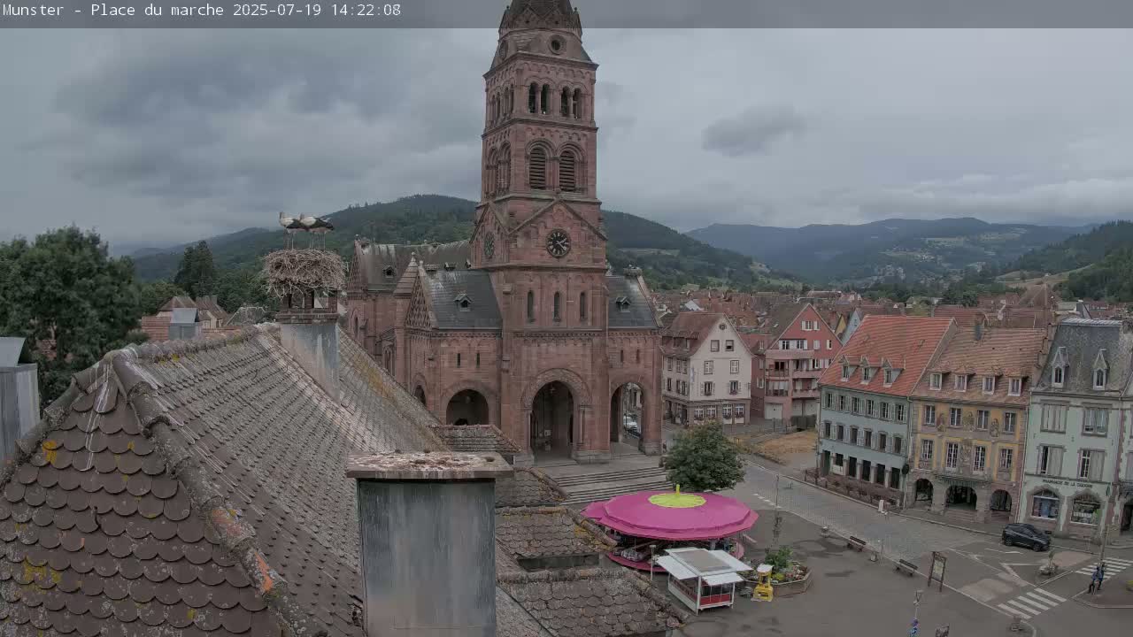 Munster,Place du Marché ( Market Square) & La Fontaine Lion Fountain / Église protestante (Protestant Church) Live Cam -  Colmar-Ribeauvillé, Haut-Rhin, Grand Est, France