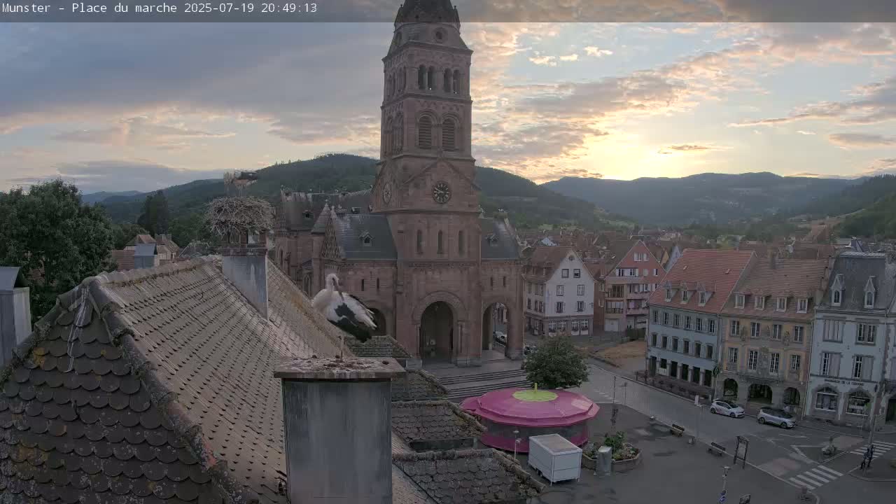 Munster,Place du Marché ( Market Square) & La Fontaine Lion Fountain / Église protestante (Protestant Church) Live Cam -  Colmar-Ribeauvillé, Haut-Rhin, Grand Est, France