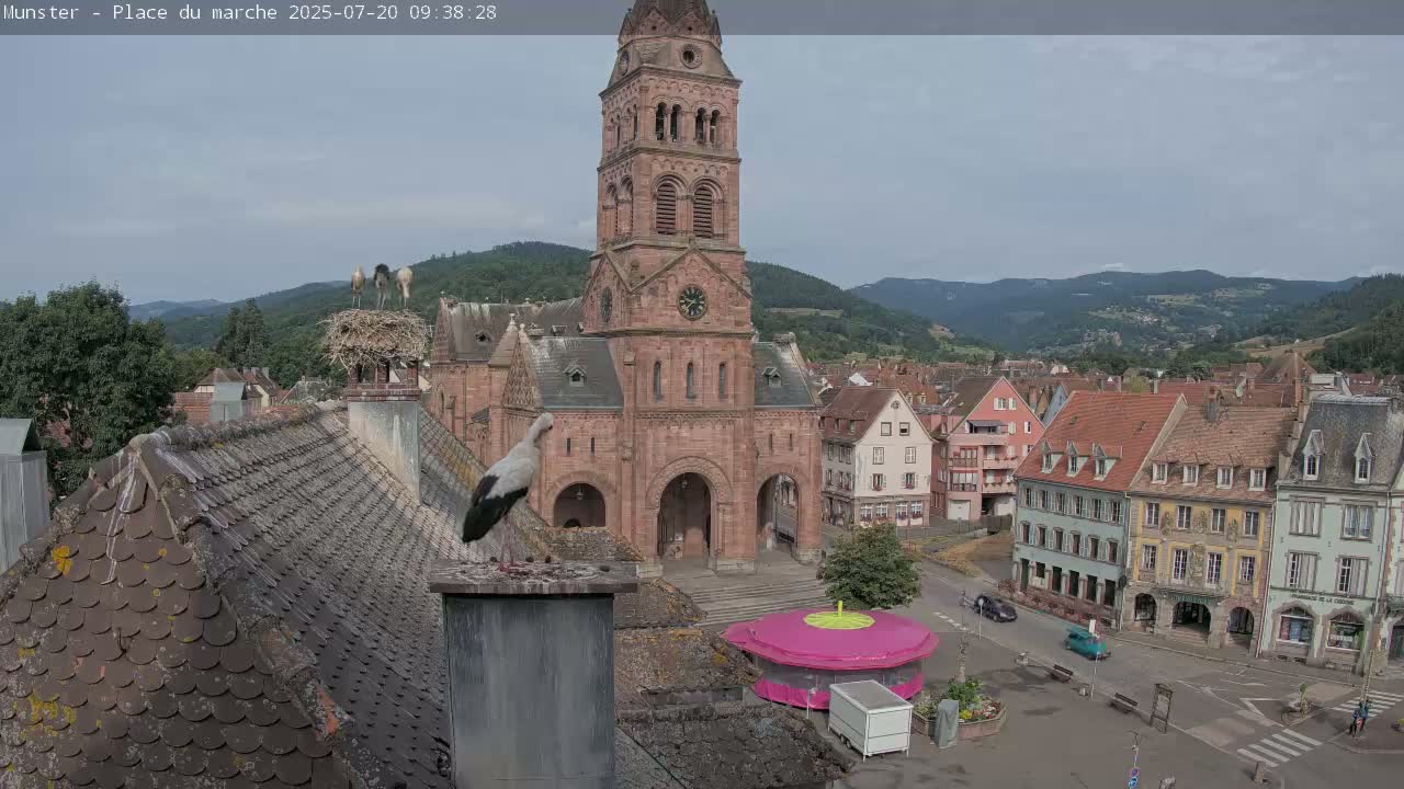 A town square with a large church, several buildings, and storks on rooftops, under a mostly clear sky.