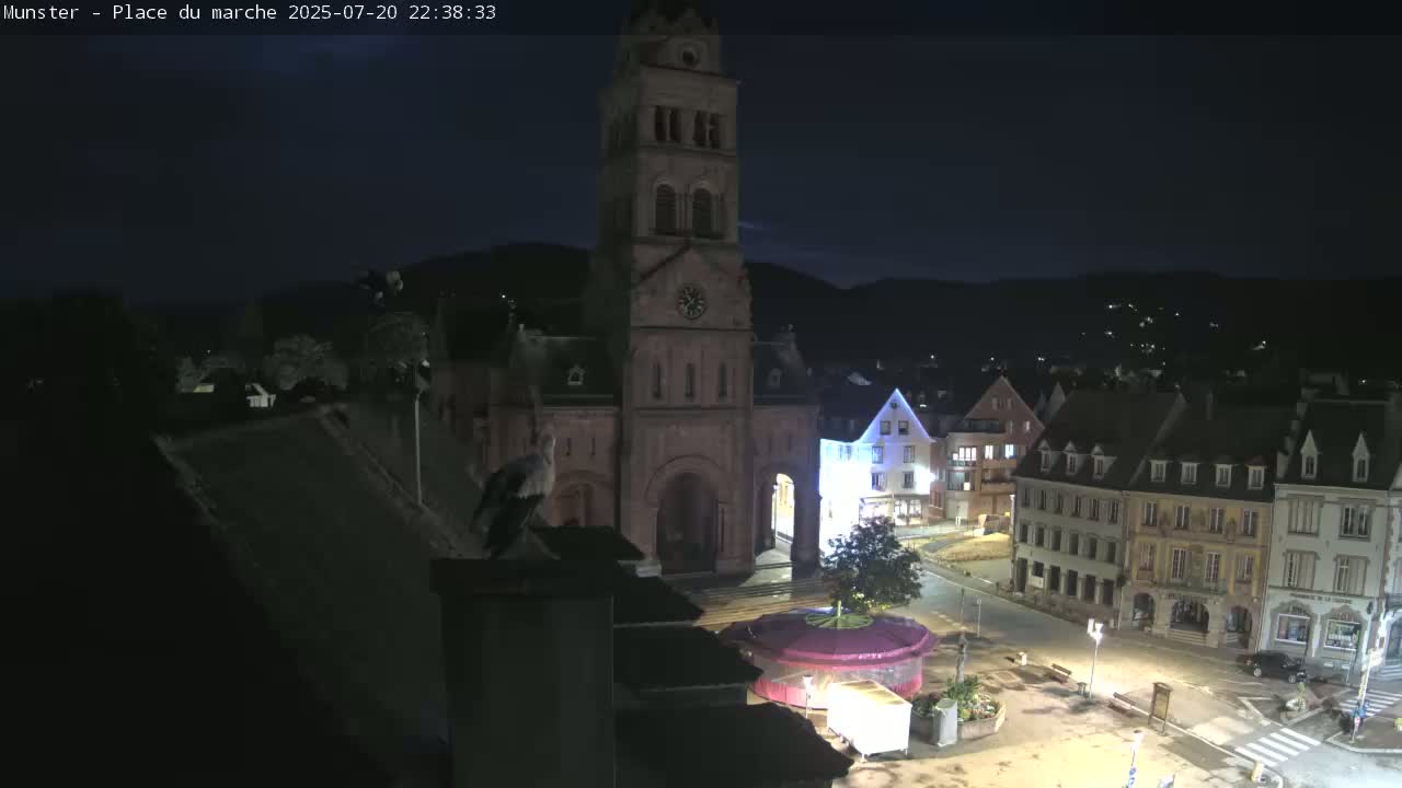 Munster,Place du Marché ( Market Square) & La Fontaine Lion Fountain / Église protestante (Protestant Church) Live Cam -  Colmar-Ribeauvillé, Haut-Rhin, Grand Est, France