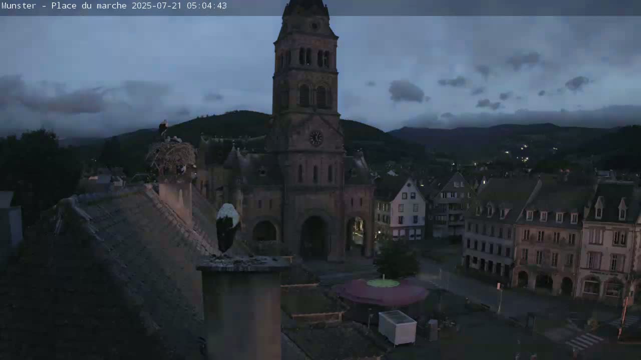 Munster,Place du Marché ( Market Square) & La Fontaine Lion Fountain / Église protestante (Protestant Church) Live Cam -  Colmar-Ribeauvillé, Haut-Rhin, Grand Est, France