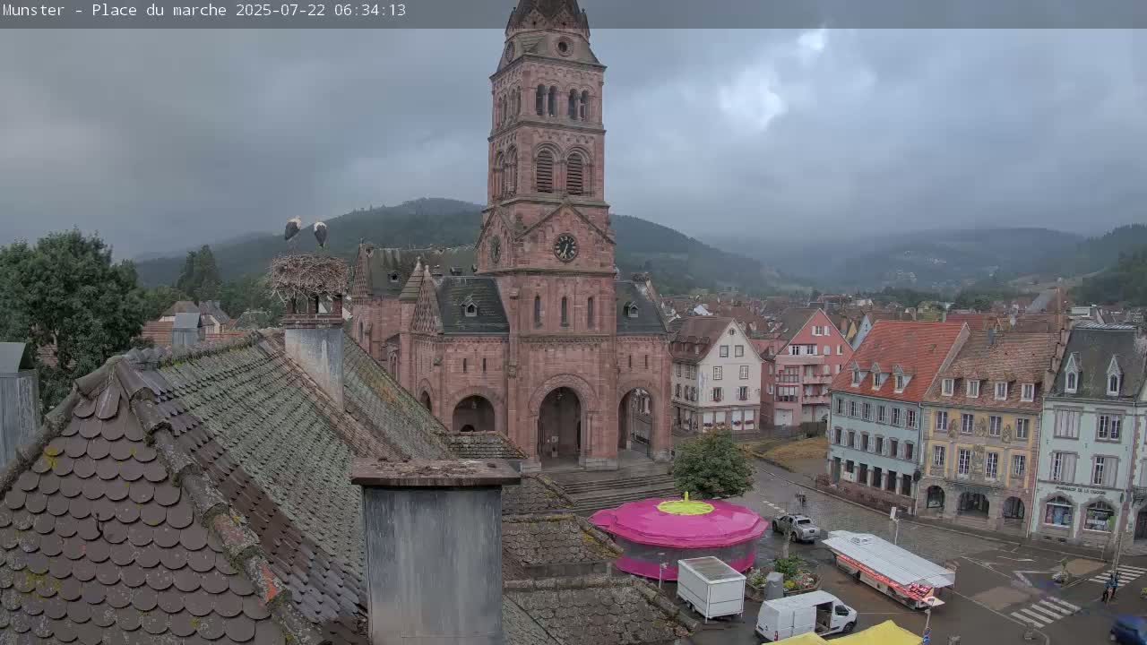 Munster,Place du Marché ( Market Square) & La Fontaine Lion Fountain / Église protestante (Protestant Church) Live Cam -  Colmar-Ribeauvillé, Haut-Rhin, Grand Est, France