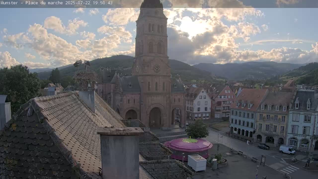 Munster,Place du Marché ( Market Square) & La Fontaine Lion Fountain / Église protestante (Protestant Church) Live Cam -  Colmar-Ribeauvillé, Haut-Rhin, Grand Est, France