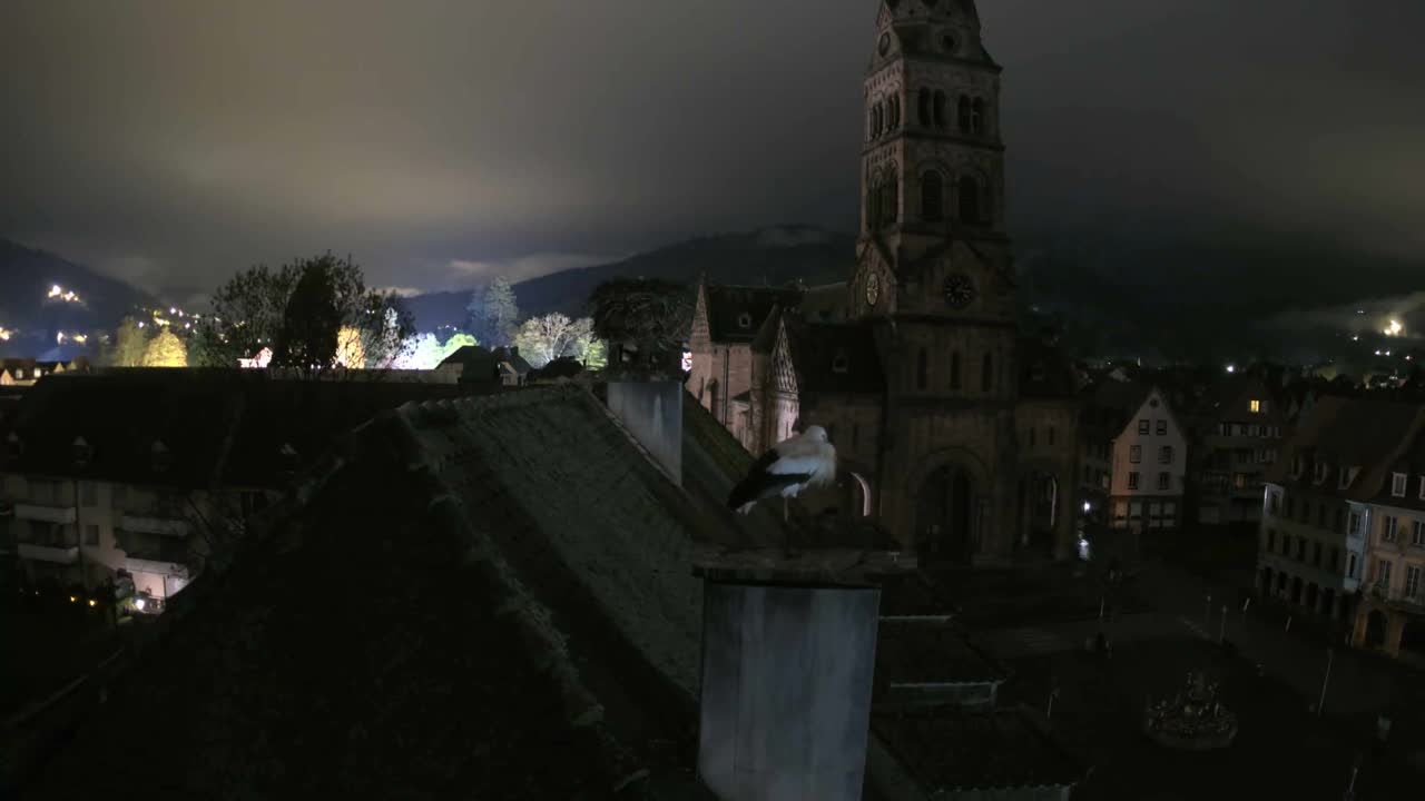 Munster,Place du Marché ( Market Square) & La Fontaine Lion Fountain / Église protestante (Protestant Church) Live Cam -  Colmar-Ribeauvillé, Haut-Rhin, Grand Est, France