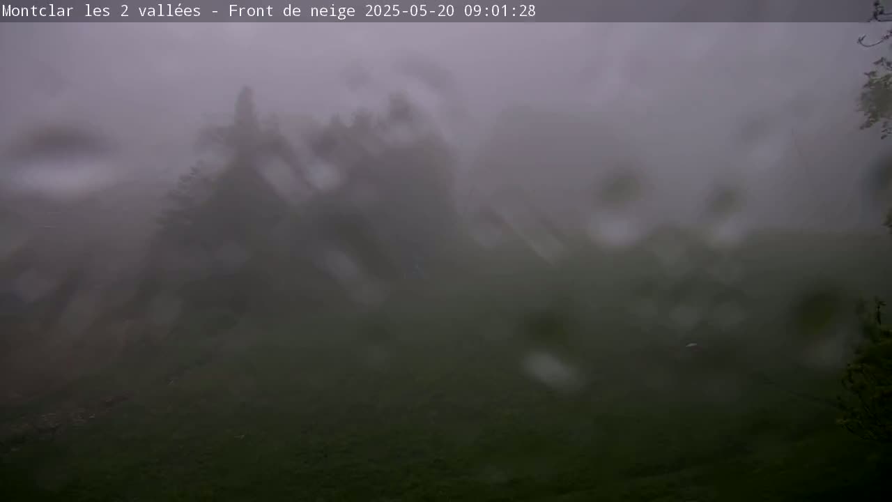 A rain-streaked view shows a blurry, foggy landscape of dark green vegetation.