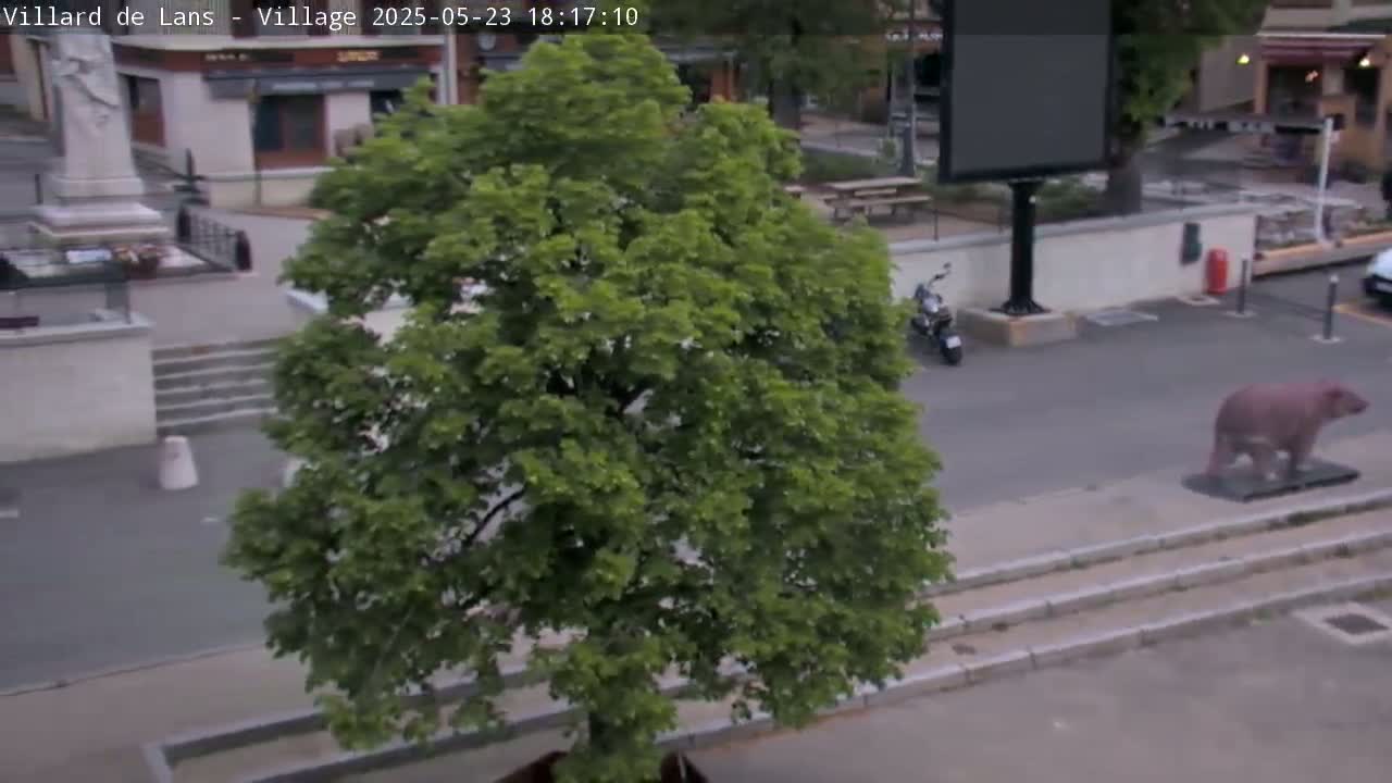 A large green tree stands in a paved area near a statue, some buildings, a parked motorcycle, and a pink bear statue.