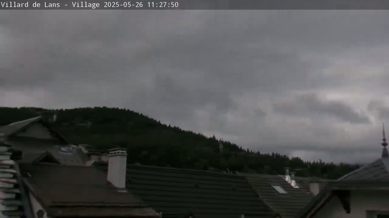 Overcast skies loom over a village of dark-roofed houses nestled against a hillside of dark green trees.
