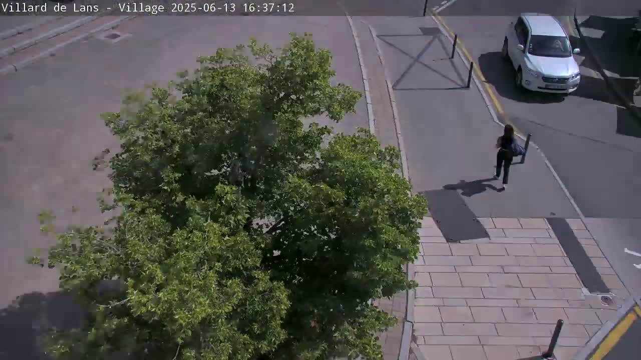 A person walks on a sidewalk near a tree and a white SUV on a sunny day.