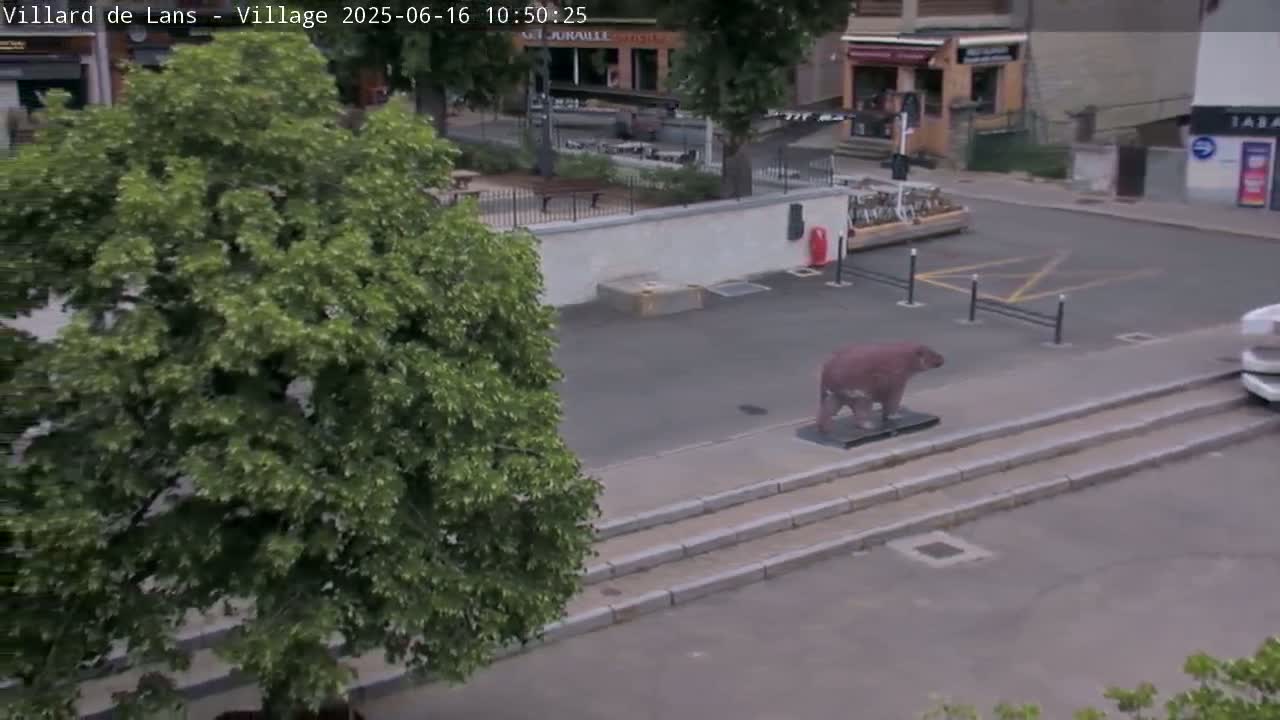 A statue of a bear sits on a set of stairs in a town square, partially obscured by a large green tree, on a sunny day.