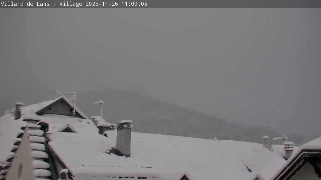Snow-covered rooftops and a distant, hazy mountain are visible under heavy snowfall and an overcast sky.