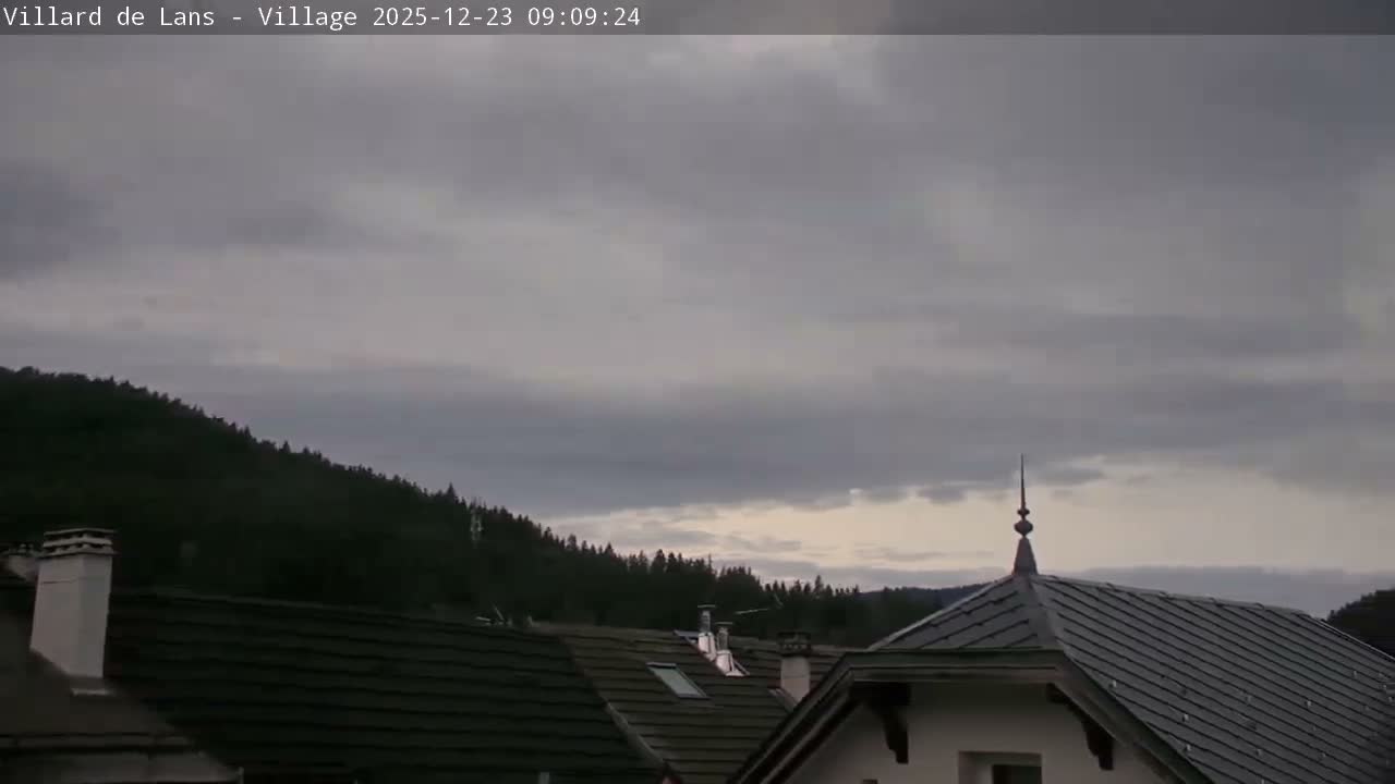Overcast with heavy gray clouds, the image displays dark-tiled rooftops in the foreground and midground, backed by a dense, dark green forest covering a distant hillside.