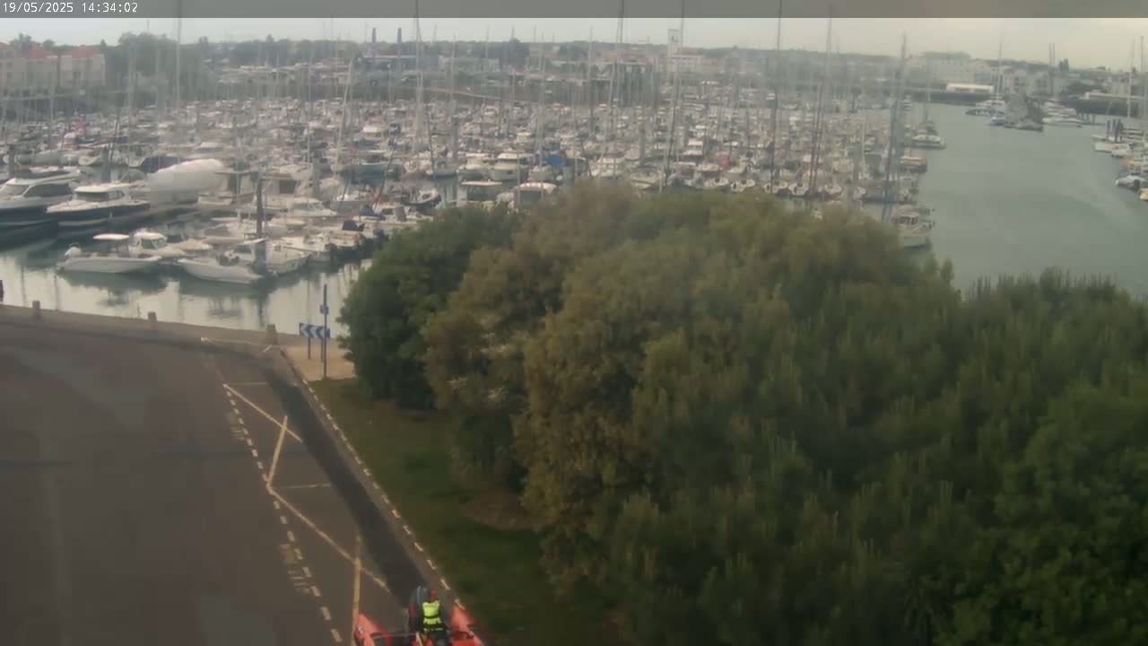 A large marina filled with numerous boats is partially obscured by a stand of green trees under an overcast sky.