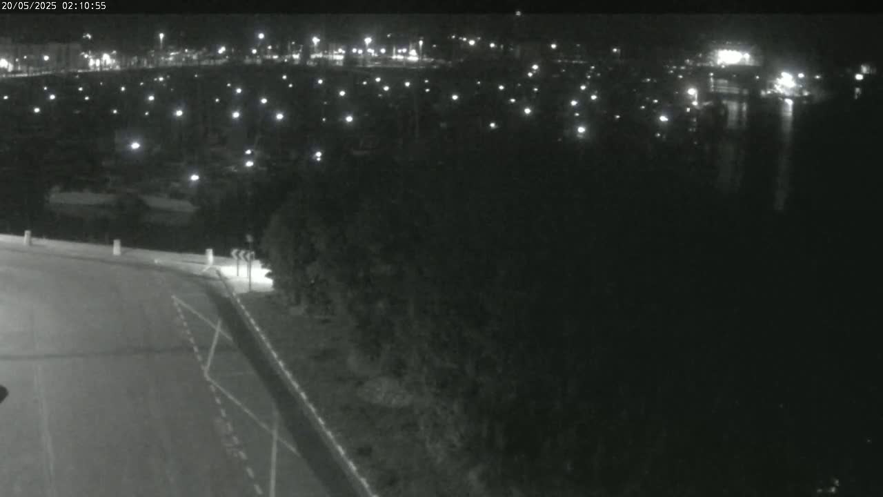 A nighttime view of a dark body of water with numerous small lights visible across its surface, alongside a dark road and vegetation.