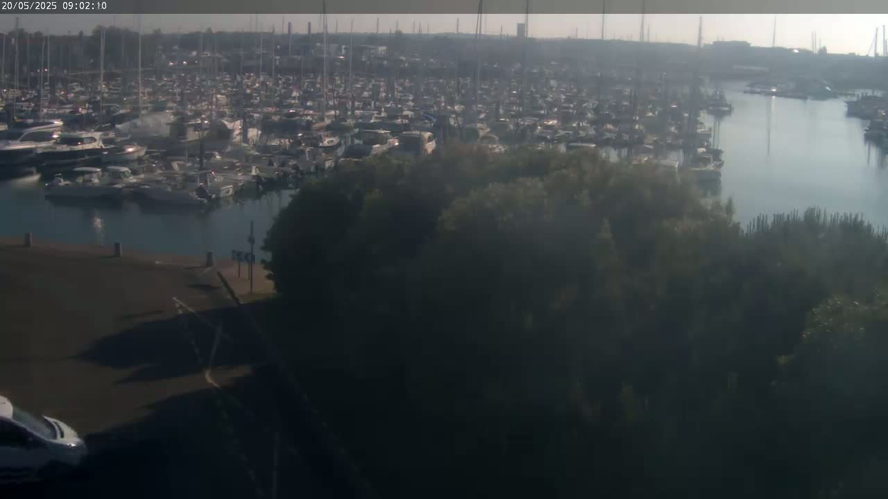 A hazy, sunny day overlooks a densely packed marina filled with numerous boats and yachts, partially obscured by vegetation in the foreground.