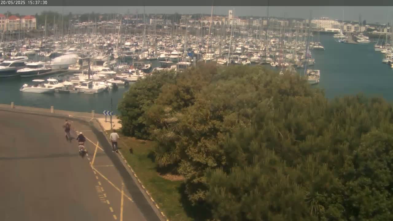 A marina filled with numerous boats is visible from a vantage point overlooking a road where three people are riding bicycles and scooters near a patch of green vegetation, under a partly cloudy sky.