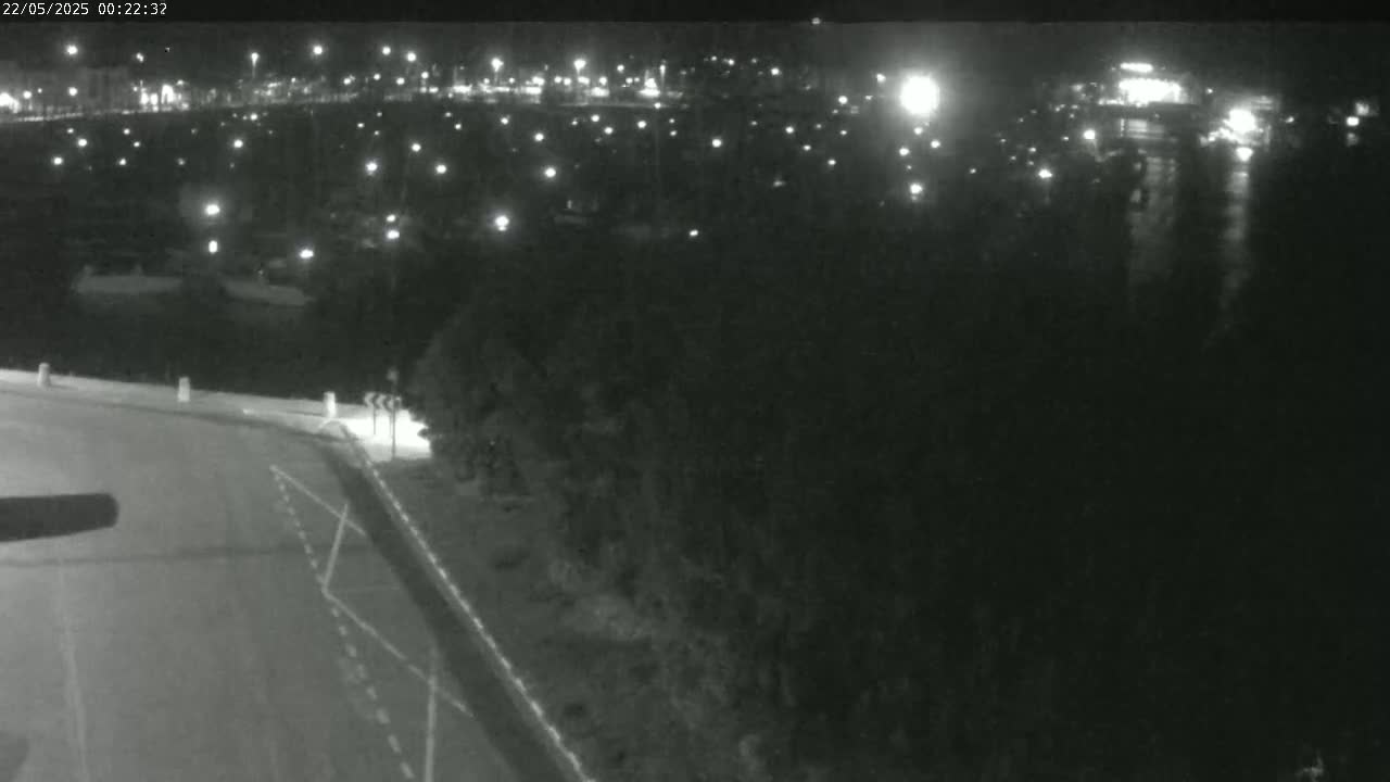 A nighttime view shows a dark road curving toward a body of water dotted with lights, bordered by dark vegetation under a clear night sky.