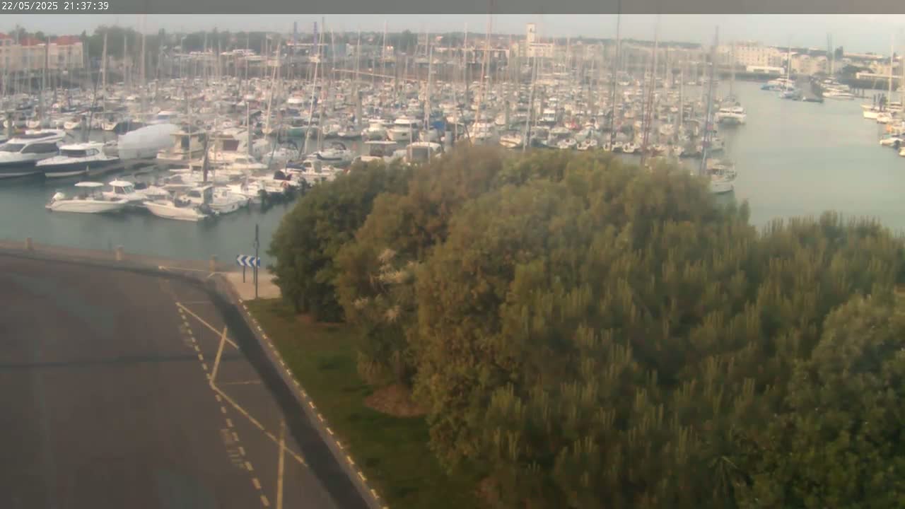 A large marina filled with numerous boats is seen from above, partially obscured by a stand of trees under an overcast sky.