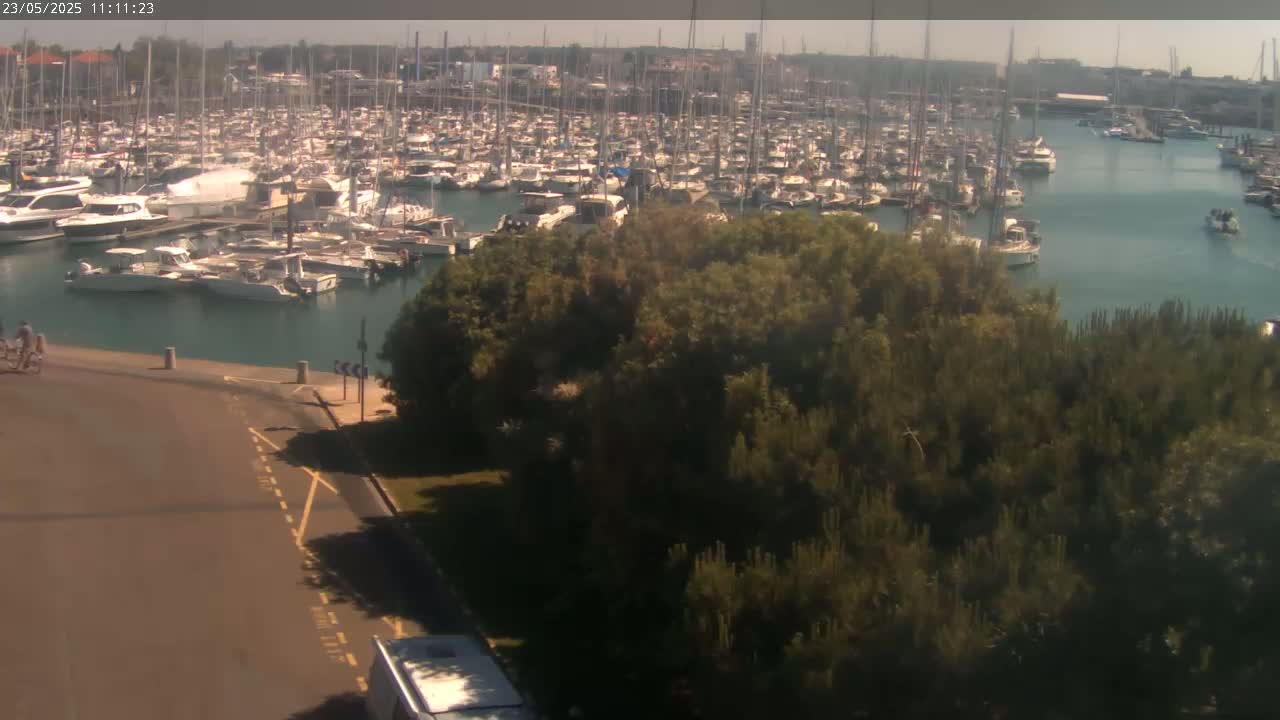 A densely packed marina filled with numerous boats is visible from a high vantage point on a sunny day, with a road and green vegetation in the foreground.