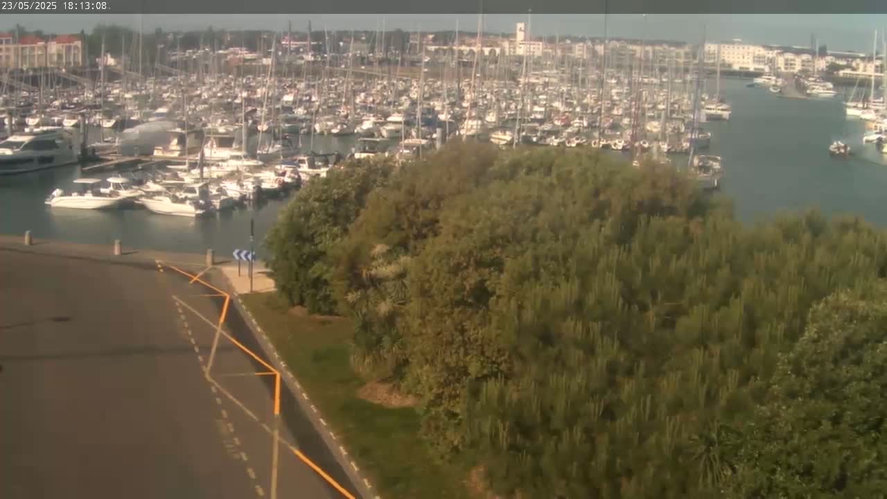 A marina filled with numerous boats is seen from above on a partly cloudy day, next to a stand of green trees and a paved area.