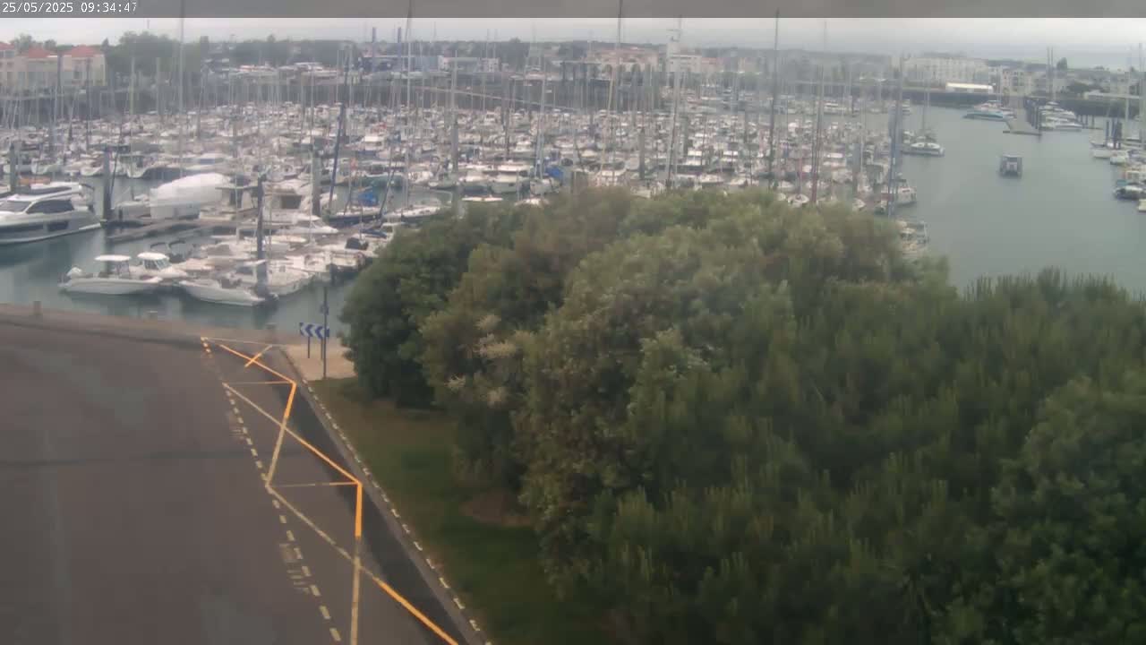 A large marina filled with numerous boats is partially obscured by a stand of green trees on an overcast day.