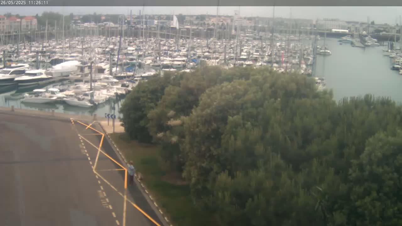 A large marina filled with numerous boats is seen from above on an overcast day, with a strip of green trees separating the marina from a paved area.