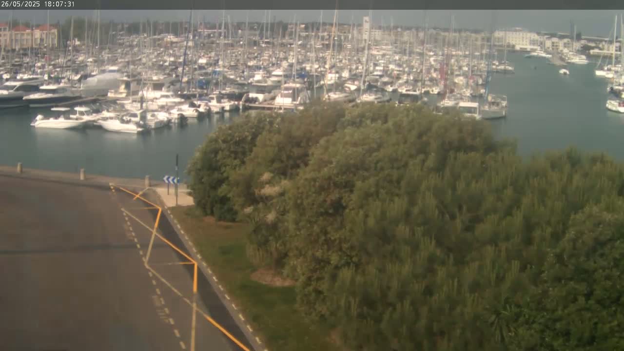 A harbor filled with numerous boats and yachts is viewed from above, partially obscured by a stand of green trees under an overcast sky.