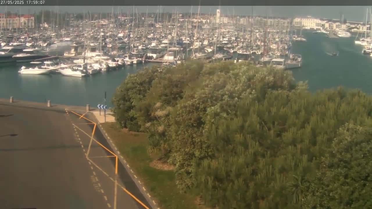 A marina filled with numerous boats is visible beyond a patch of green trees and shrubs on a partly sunny day.