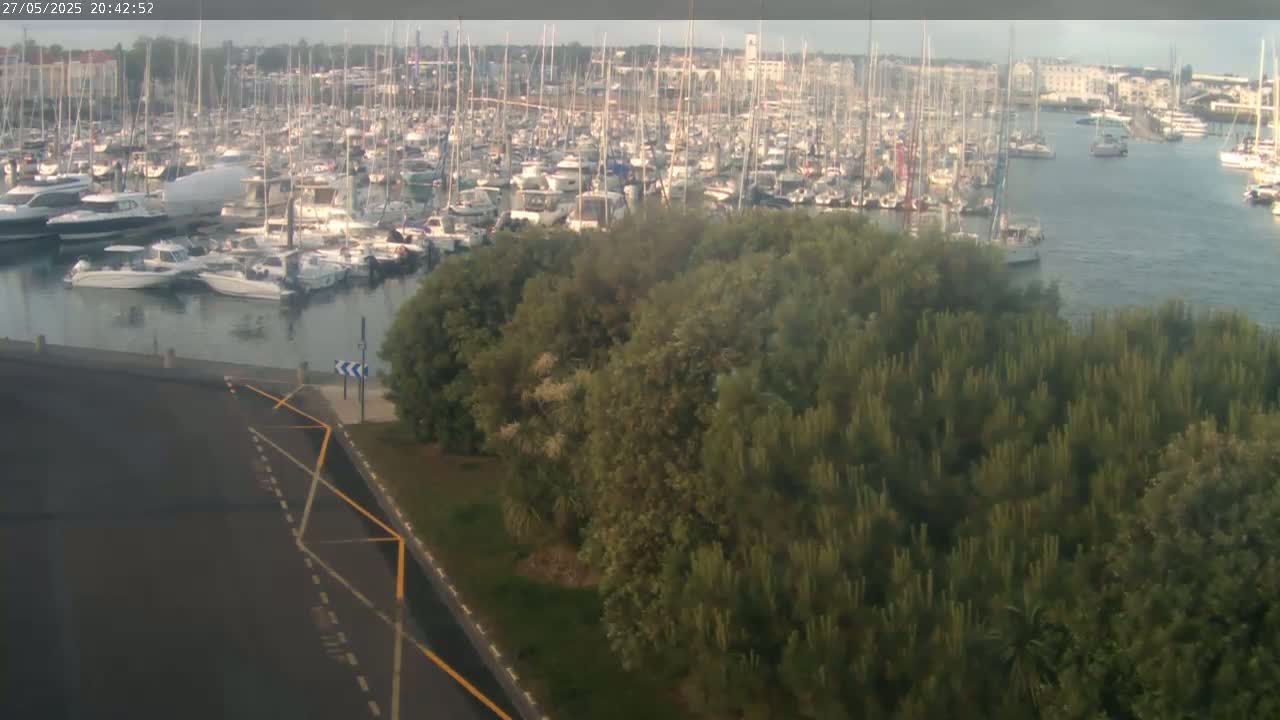 A calm body of water filled with numerous boats and yachts is viewed from above a lush green area on an overcast day.