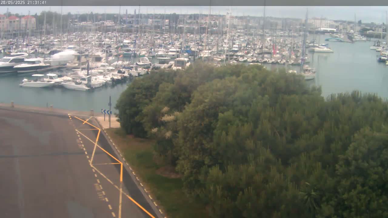 A large marina filled with numerous boats is visible from an elevated vantage point, overlooked by a patch of green trees and a paved road under an overcast sky.