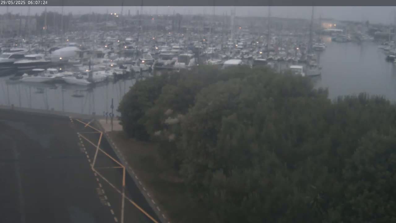 A large marina filled with numerous boats is seen under an overcast sky, partially obscured by a stand of trees in the foreground.