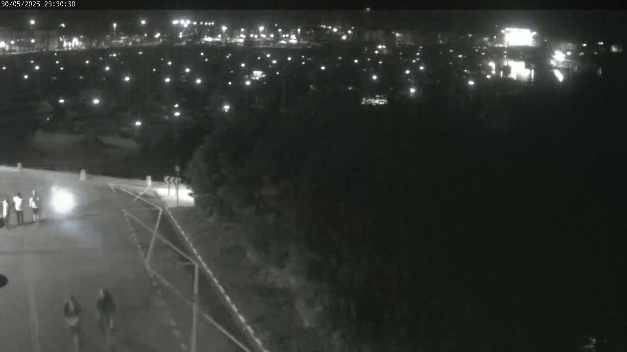 A nighttime, low-light view shows a road with several people standing near the bottom, and a distant, brightly lit area beyond a dark expanse of trees.