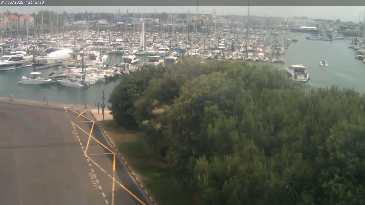 A large marina filled with numerous boats and yachts is viewed from above on an overcast day, with a patch of green trees in the foreground.