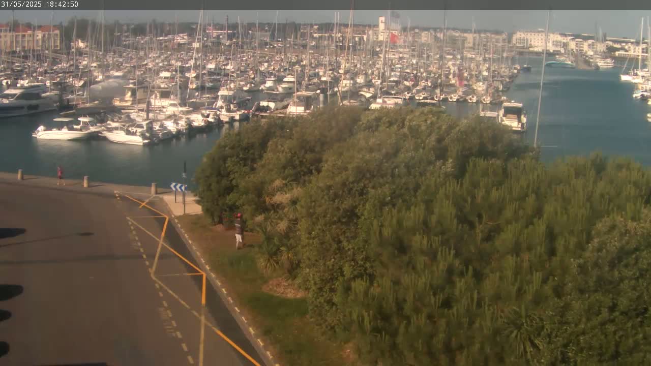 A crowded marina filled with sailboats and motorboats is visible from an elevated vantage point overlooking a green, tree-covered area on a partly sunny day.