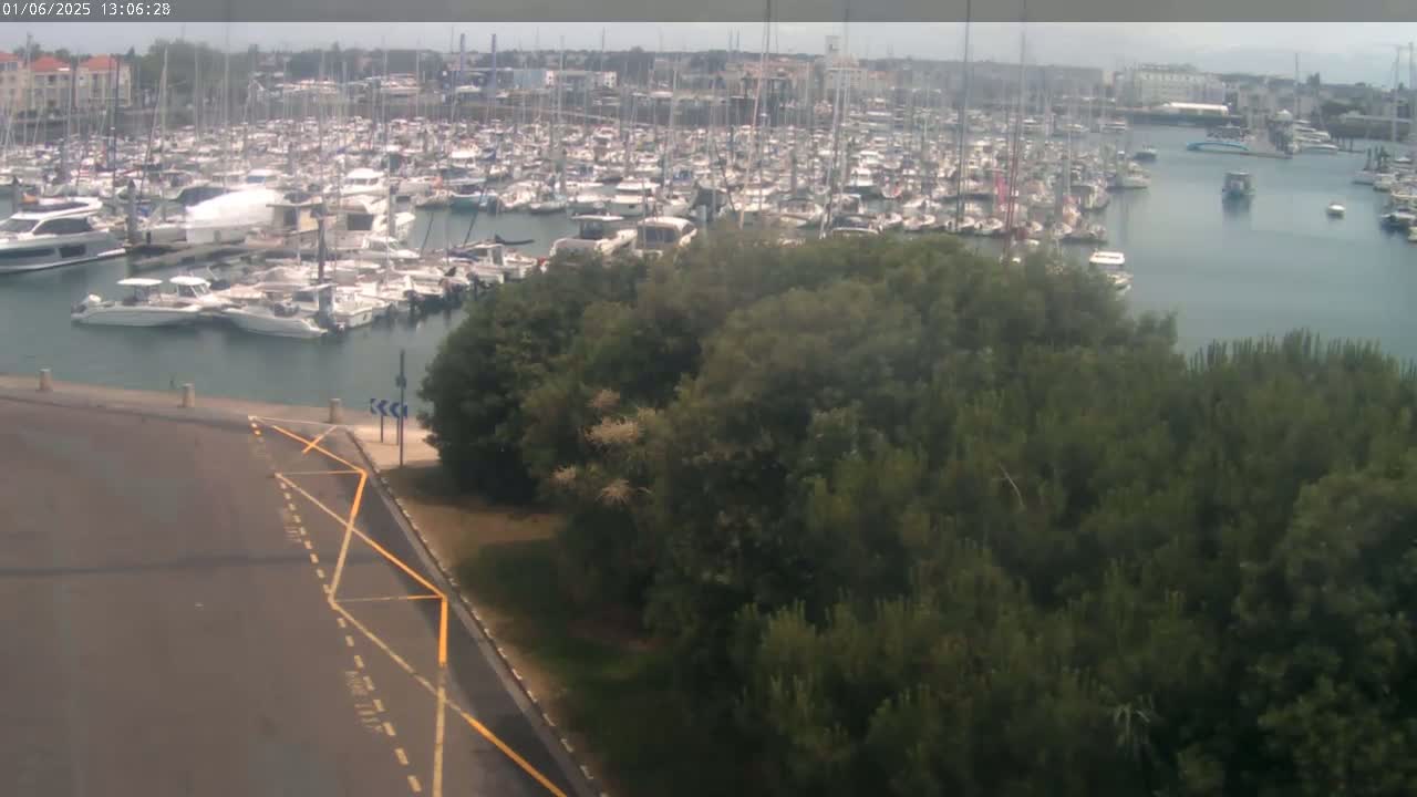 A large marina filled with numerous boats is visible from an elevated vantage point, partially obscured by a stand of dark green trees under an overcast sky.