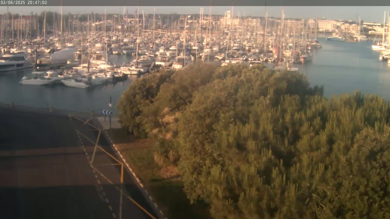 A large marina filled with numerous sailboats and motorboats is visible from behind a stand of green trees under a clear, dusky sky.