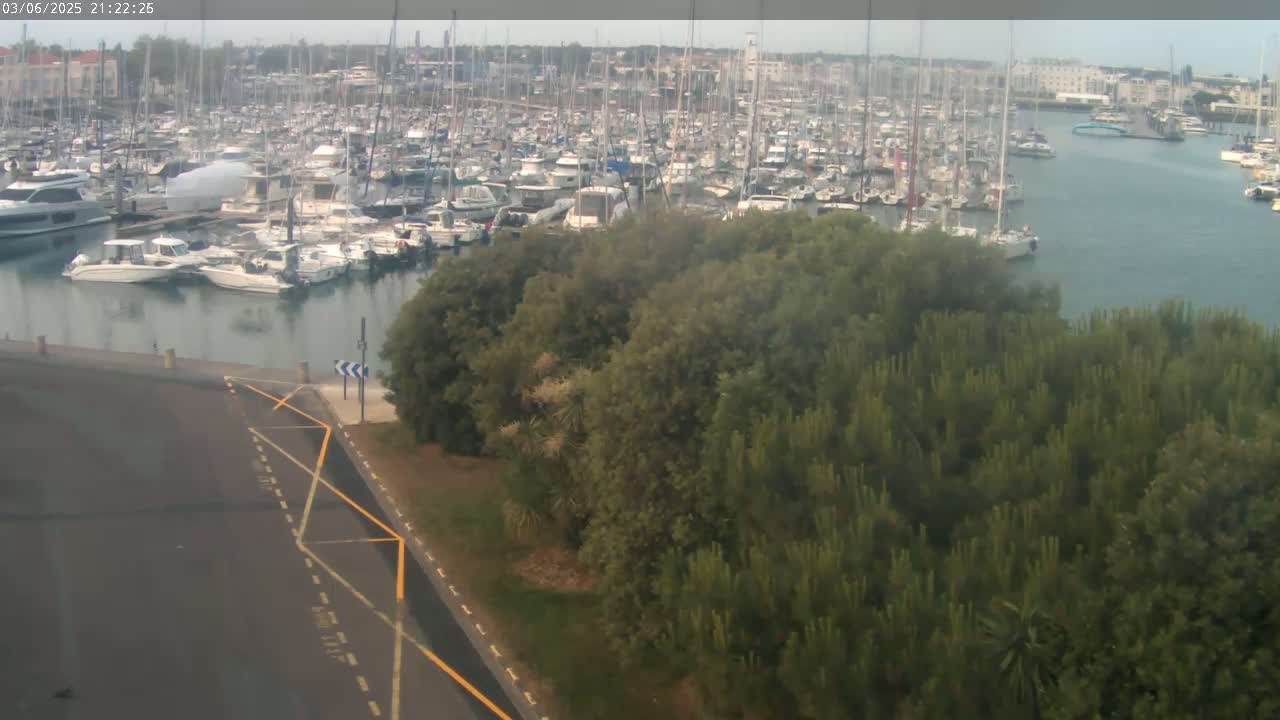 A large marina filled with numerous boats is visible beyond a stand of green trees on a partly cloudy day.