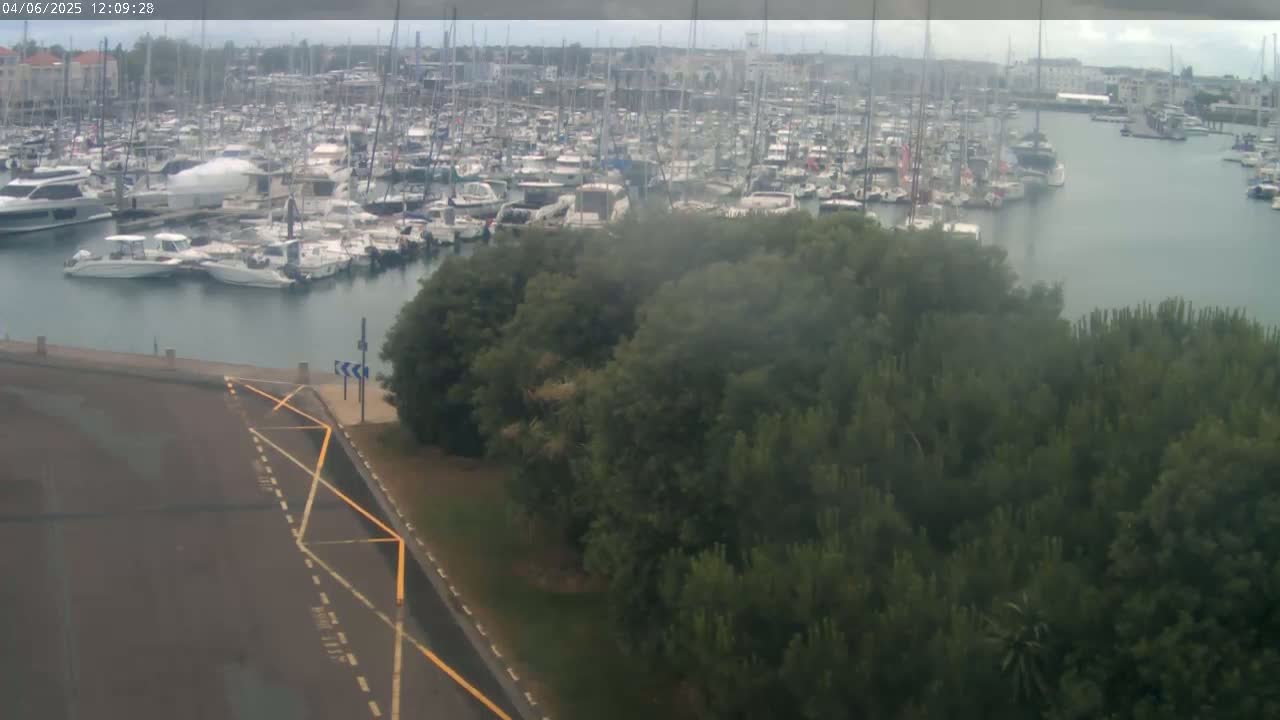A large marina filled with numerous boats is visible beyond a stand of dark green trees on an overcast day.
