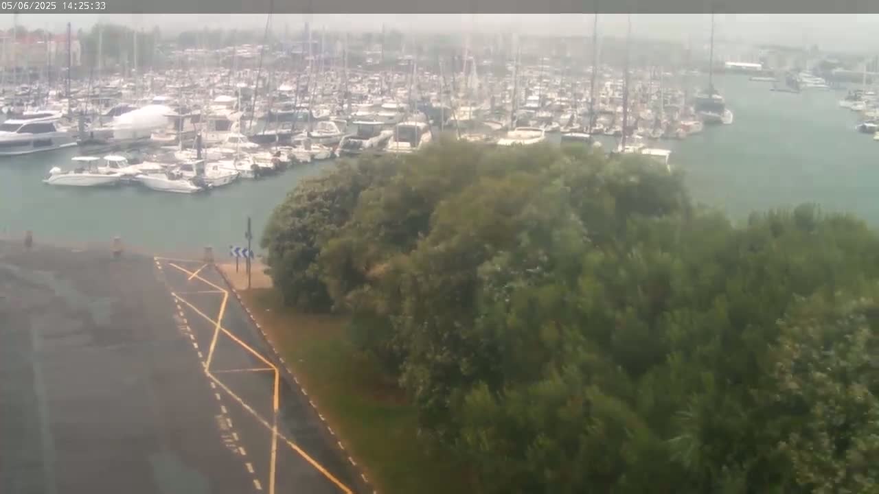 A marina filled with numerous boats is viewed from above on a rainy day, with green vegetation in the foreground.