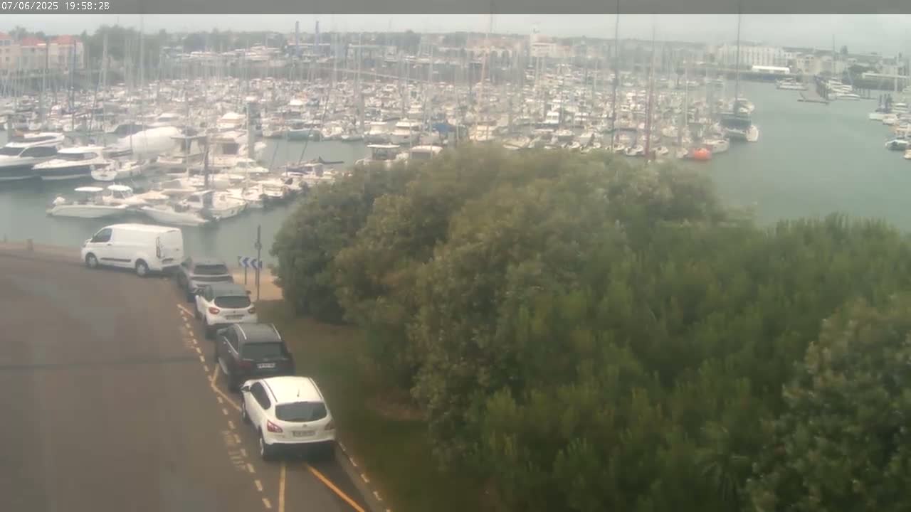 A harbor filled with numerous boats is viewed from above on an overcast day, with a line of cars parked along a road next to a stand of trees.