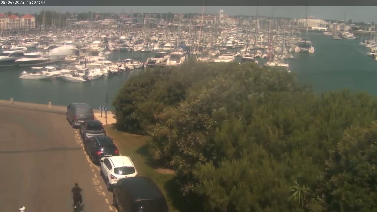A marina filled with numerous boats is visible in the distance under a partly cloudy sky, while several cars are parked along a road next to a stand of green trees in the foreground.