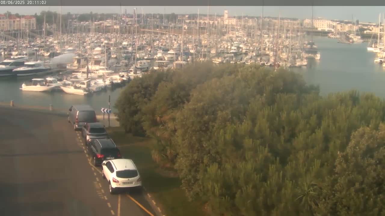 A marina filled with numerous boats is visible across a calm body of water, observed from a vantage point overlooking a roadway where several cars are parked, with a hazy or partly sunny sky above.