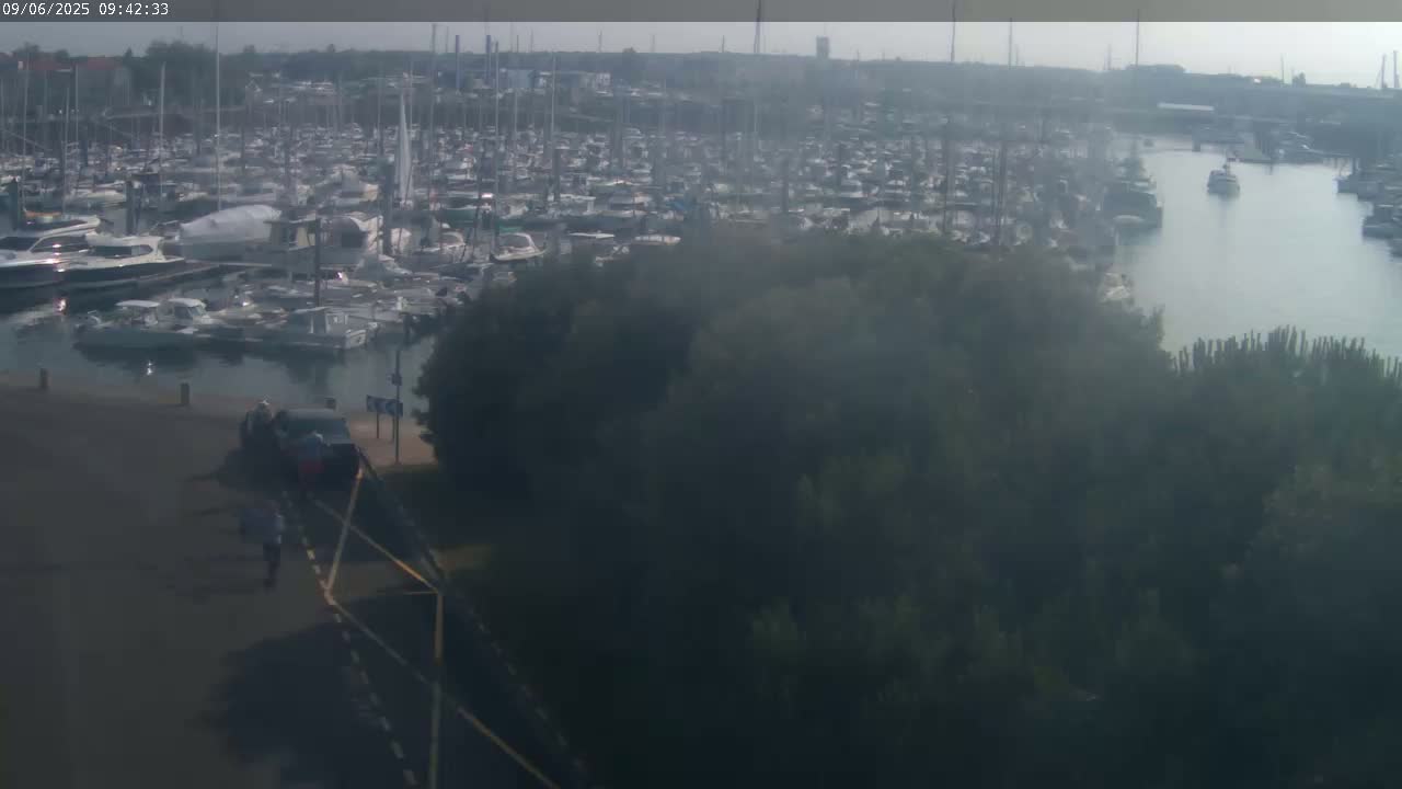 A hazy view shows a large marina filled with numerous boats, partially obscured by trees and a road in the foreground.